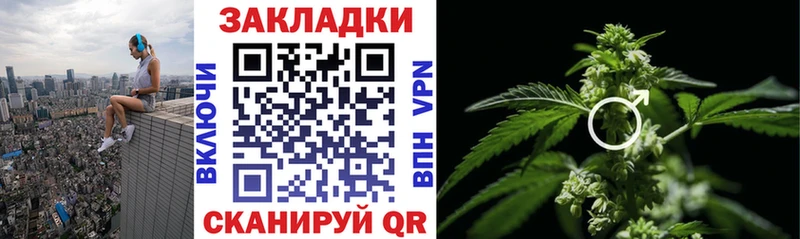 Купить наркотики цена Кимры Псилоцибиновые грибы Alpha-PVP КОКАИН Гашиш МЕФ Бошки Шишки