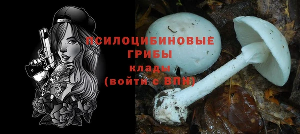 стафф Белоозёрский